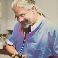 Bedford Village Vet Hospital ico