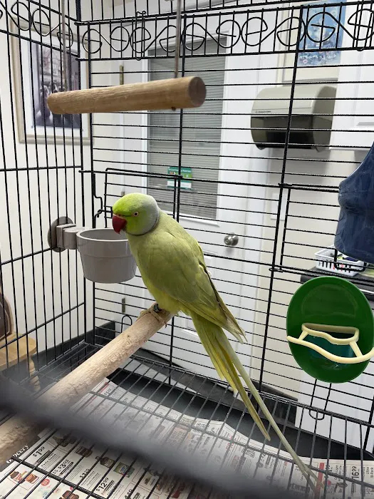 All Creatures Veterinary Hospital 12