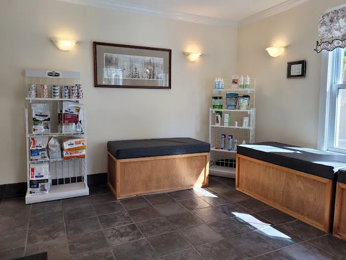 All Creatures Veterinary Hospital 12