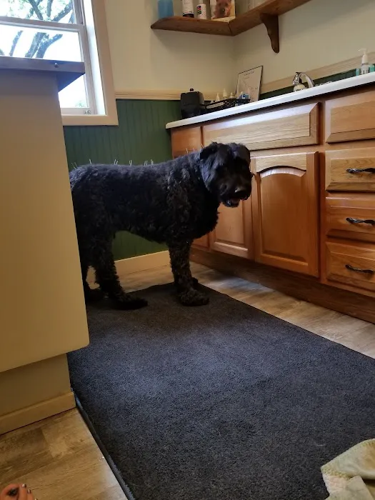 New Paltz Animal Hospital 12