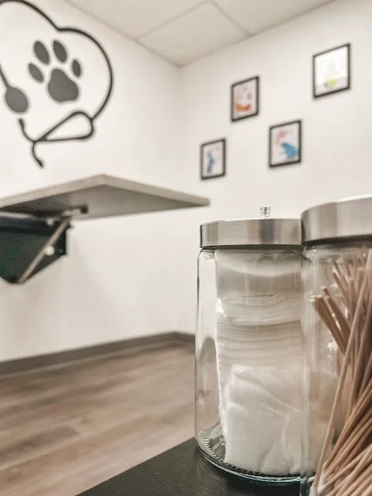 Compassion Veterinary Center - General Practice and Urgent Care 12