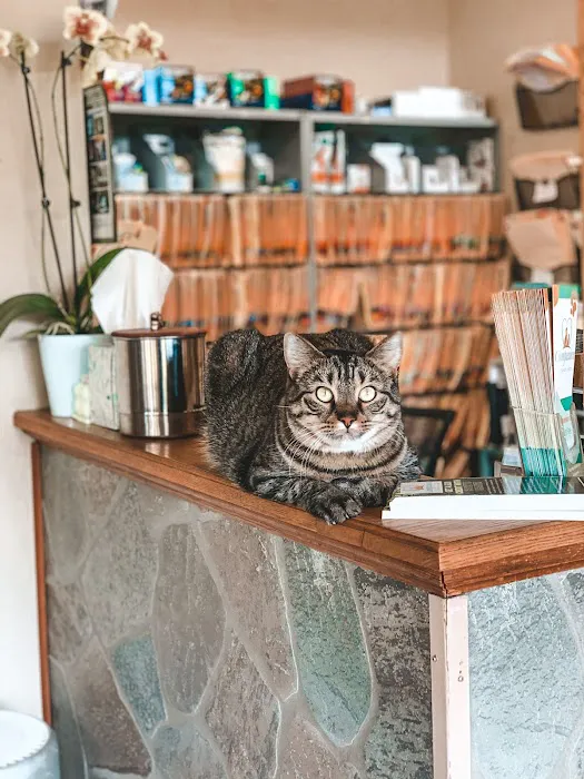 Compassion Veterinary Center - General Practice and Urgent Care 12