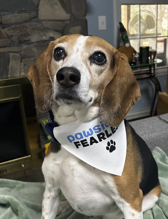 Creature Comforts Animal Hospital, P.C. 12