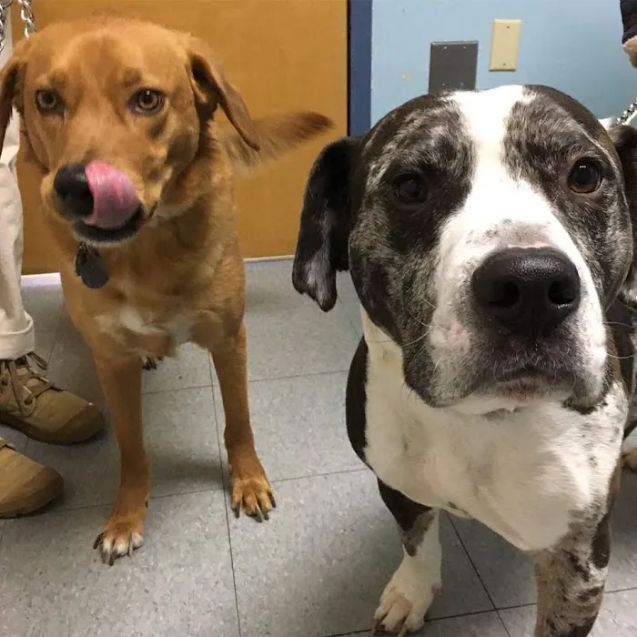 LaGrange Veterinary Hospital 7