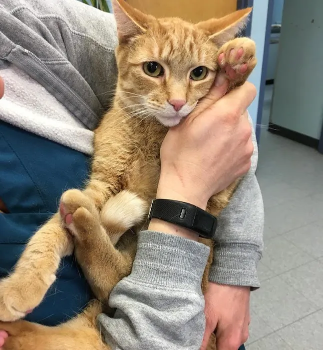LaGrange Veterinary Hospital 6
