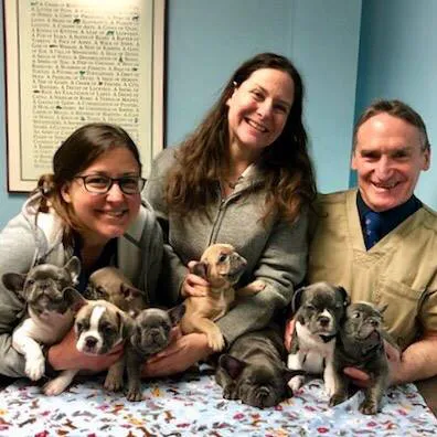 LaGrange Veterinary Hospital 3