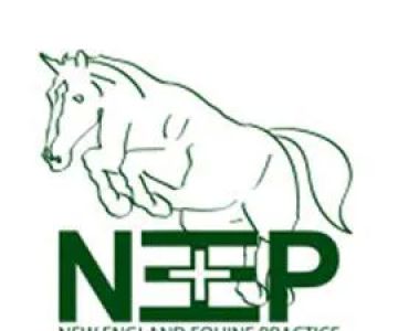 New England Equine Practice