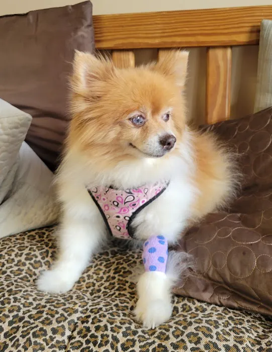 Brook Farm Veterinary Center 12