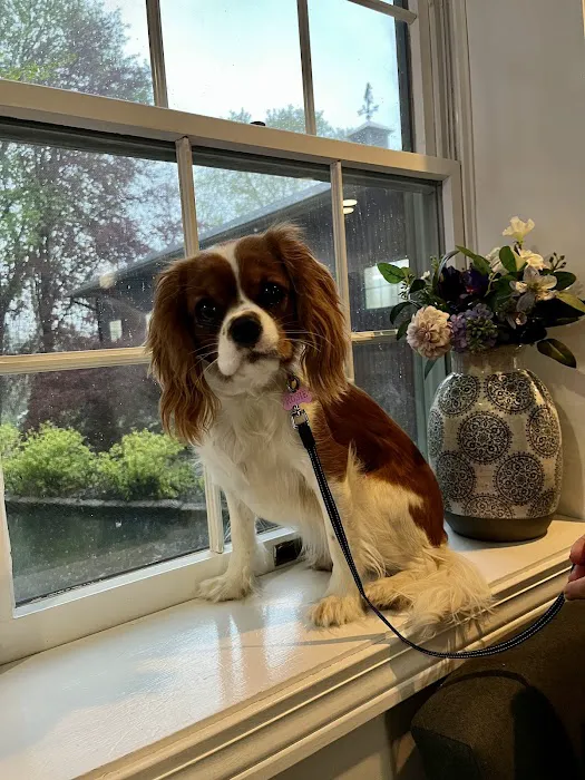 Brook Farm Veterinary Center 12