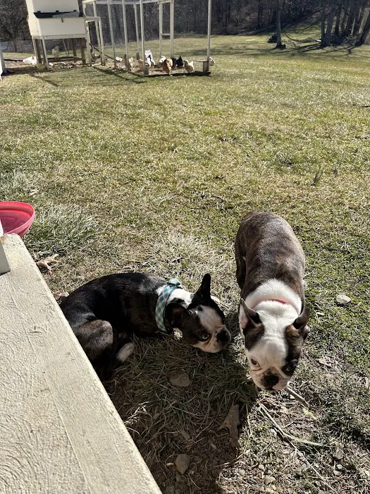 Roosevelt Veterinary Center 12