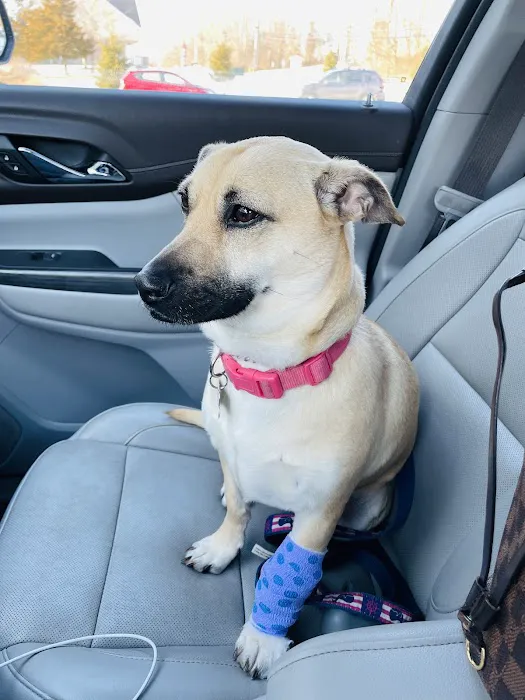 Roosevelt Veterinary Center 12