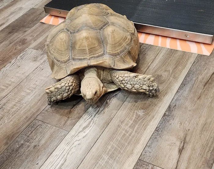 Southeast Animal Hospital 12