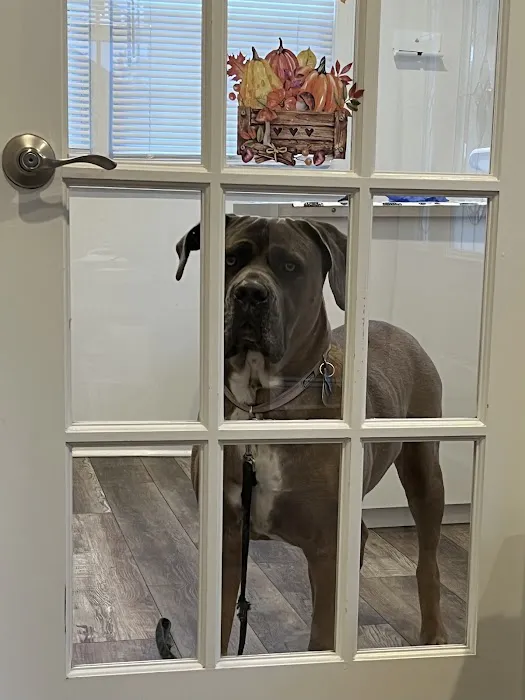 Southeast Animal Hospital 12