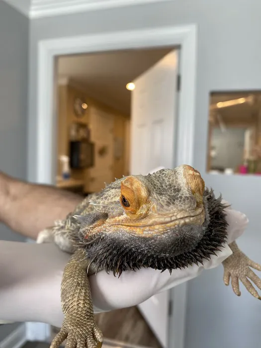 Southeast Animal Hospital 12