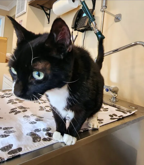 Southeast Animal Hospital 12