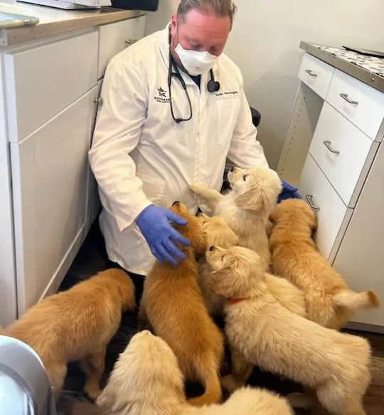 Southeast Animal Hospital 12
