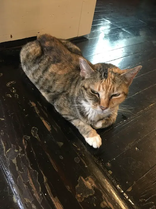 Dutchess County Animal Hospital 6