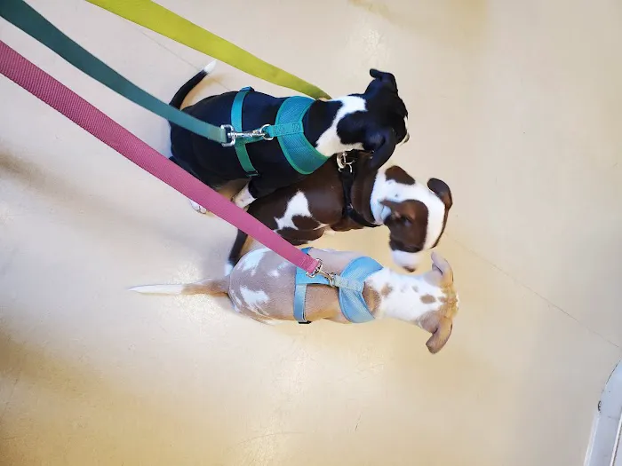 Finch Hill Veterinary Clinic 12