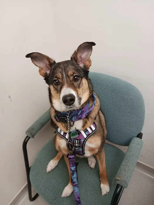 Finch Hill Veterinary Clinic 12