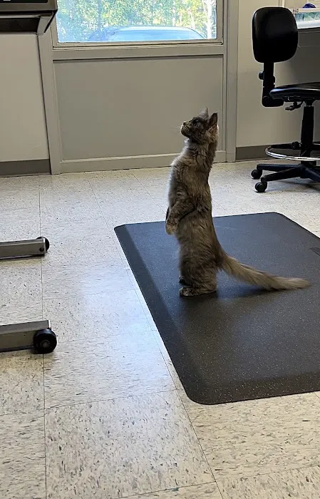 Veterinary Medical Center 12