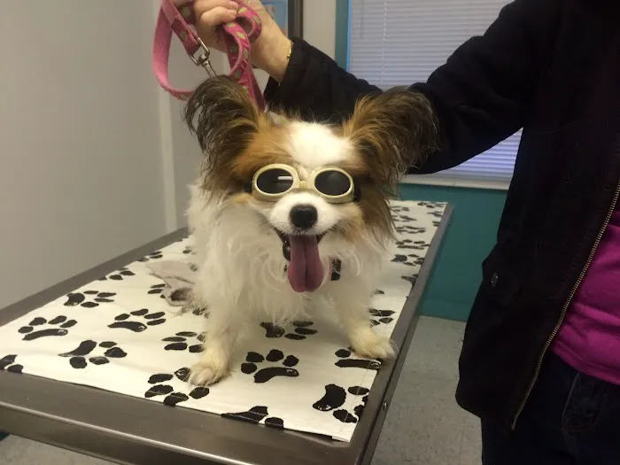 Veterinary Medical Center 12