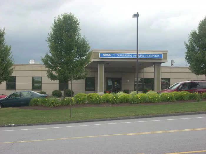 VCA Dunmore Animal Hospital 4