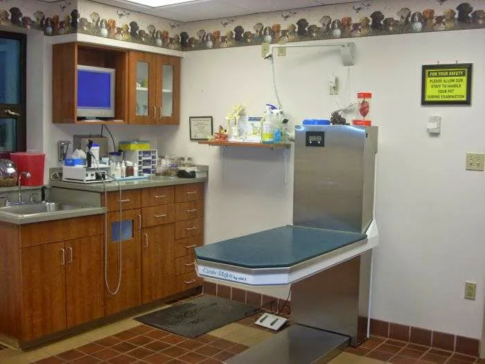 VCA Dunmore Animal Hospital 2