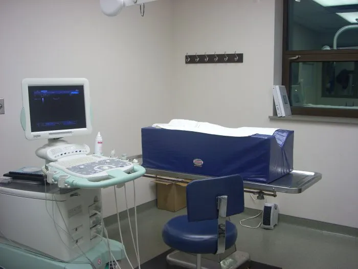 VCA Dunmore Animal Hospital 8