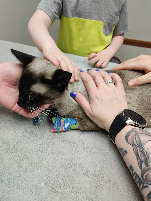 Memorial Veterinary Hospital - Throop 12