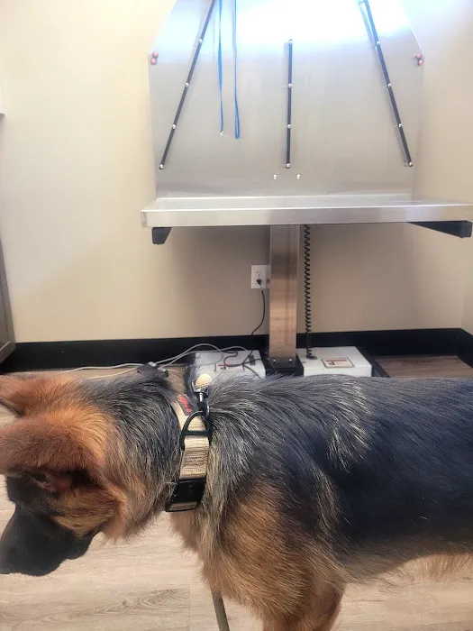 Memorial Veterinary Hospital - Throop 12