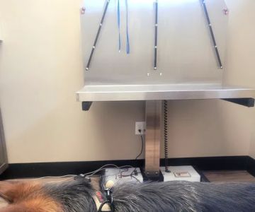 Memorial Veterinary Hospital - Throop
