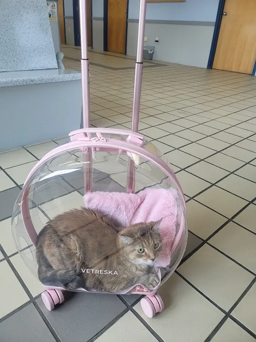 Citywide Animal Clinic 7