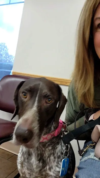 Memorial Veterinary Hospital - Dickson City 1