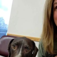 Memorial Veterinary Hospital - Dickson City ico