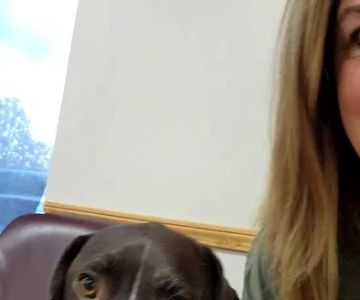 Memorial Veterinary Hospital - Dickson City