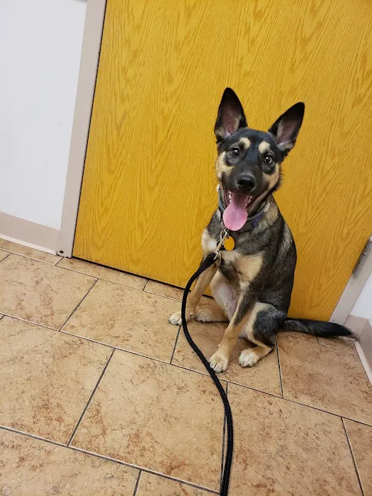 Memorial Veterinary Hospital - Dickson City 8
