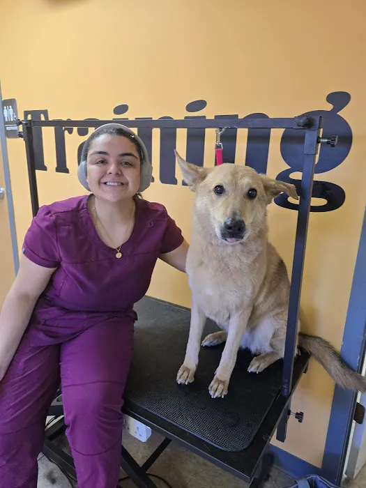 Boulevard Veterinary Care 12