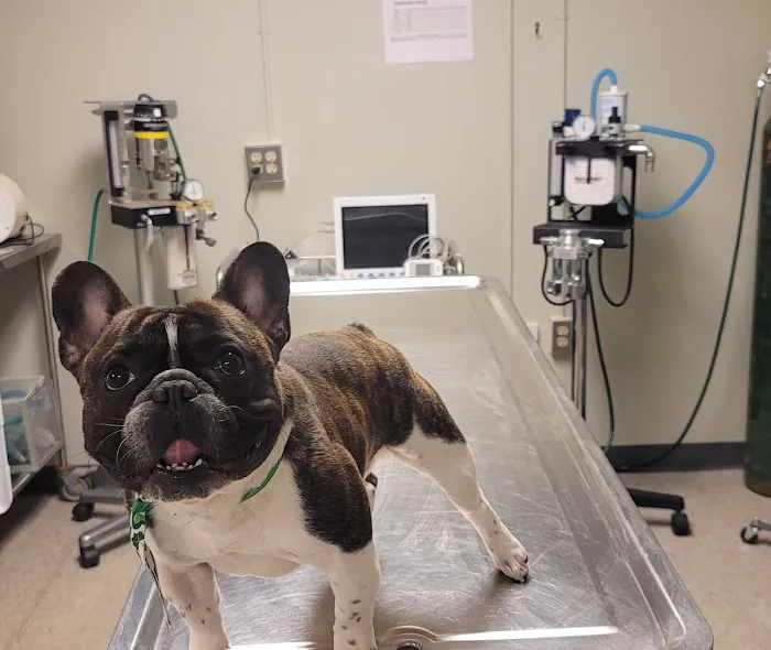 Boulevard Veterinary Care 12