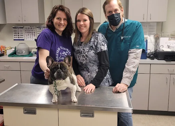 Boulevard Veterinary Care 12