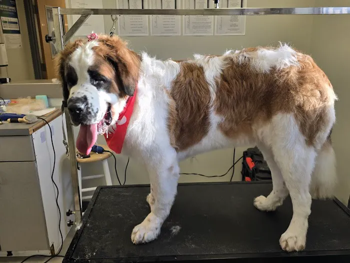 Boulevard Veterinary Care 12