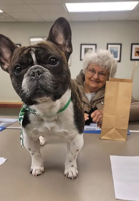 Boulevard Veterinary Care 12
