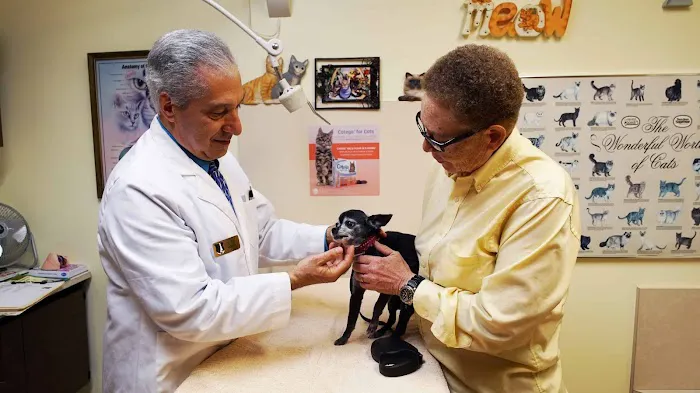 All Pets Dental Care & Oral Surgery 12