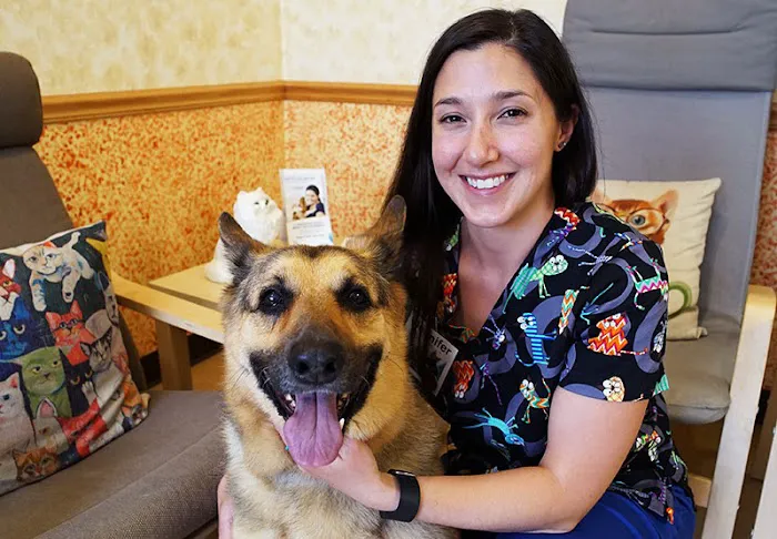 All Pets Dental Care & Oral Surgery 12
