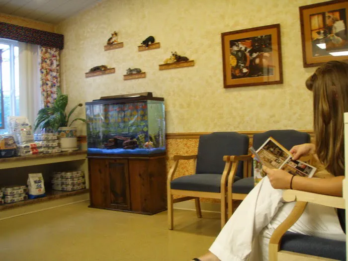 Animal Hospital of Mt. Pocono 12