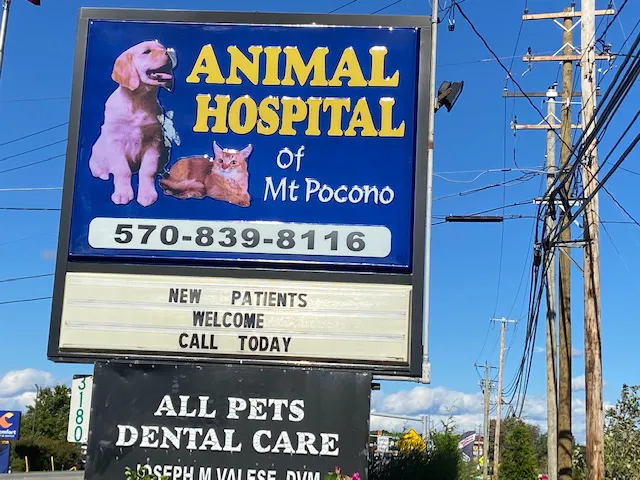 Animal Hospital of Mt. Pocono 12
