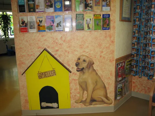 Animal Hospital of Mt. Pocono 12