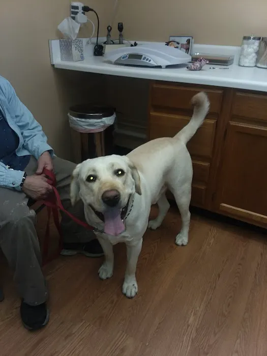 Justus Veterinary Clinic 12
