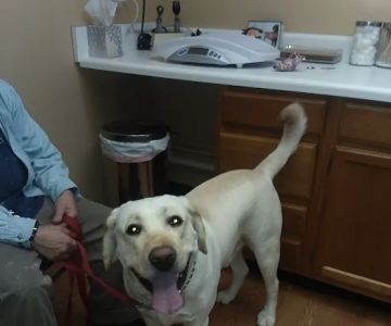 Justus Veterinary Clinic