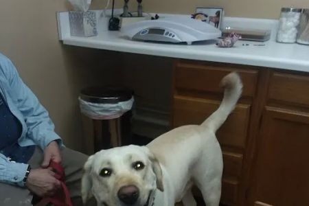 Justus Veterinary Clinic