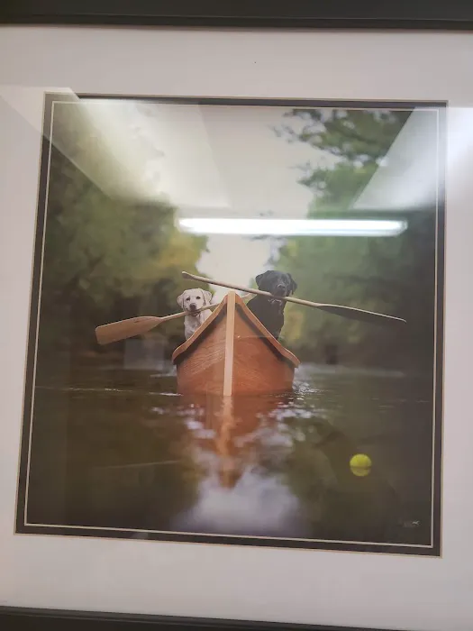 Justus Veterinary Clinic 12